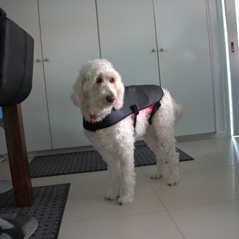 Large Red Light Therapy for Dogs Coat