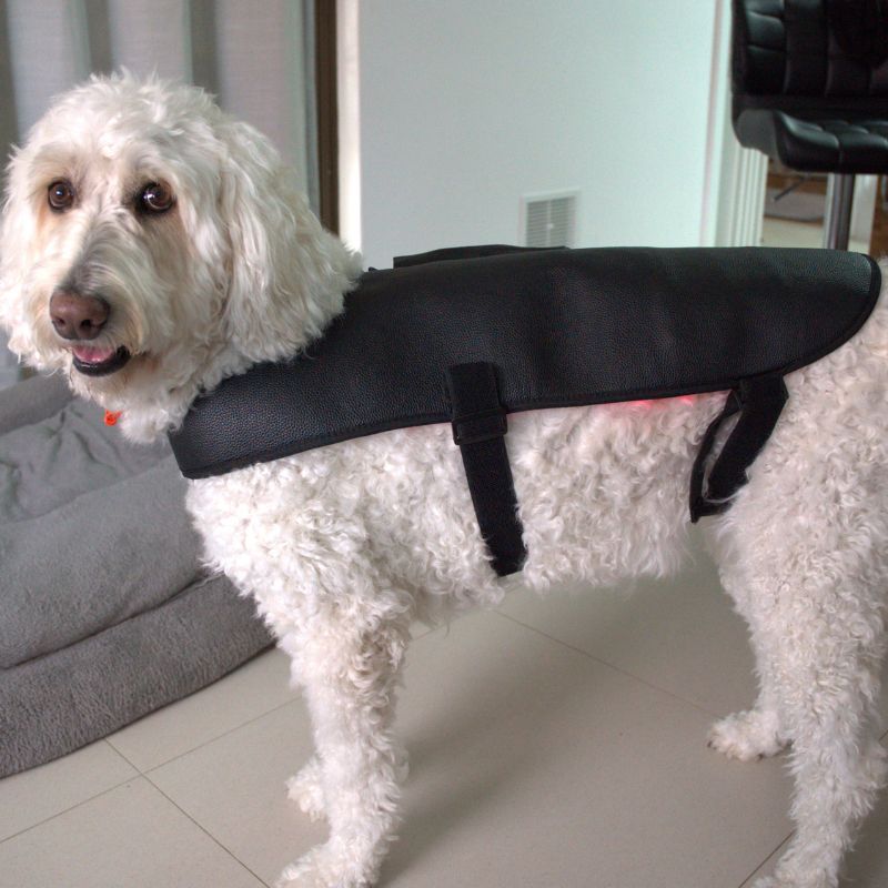 Large Red Light Therapy for Dogs Coat