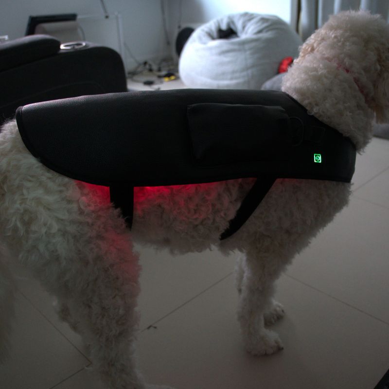 Large Red Light Therapy for Dogs Coat